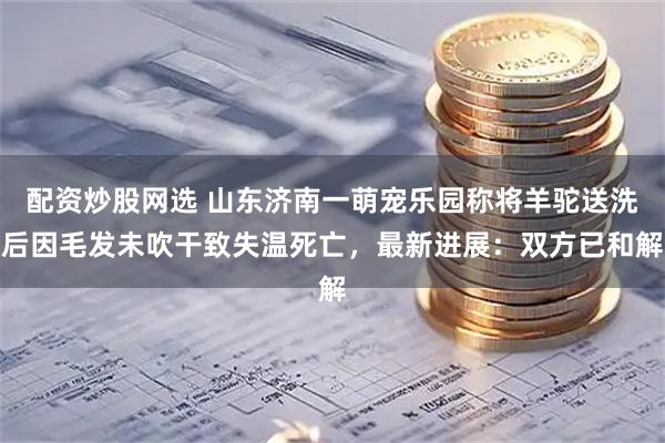 配资炒股网选 山东济南一萌宠乐园称将羊驼送洗后因毛发未吹干致失温死亡，最新进展：双方已和解