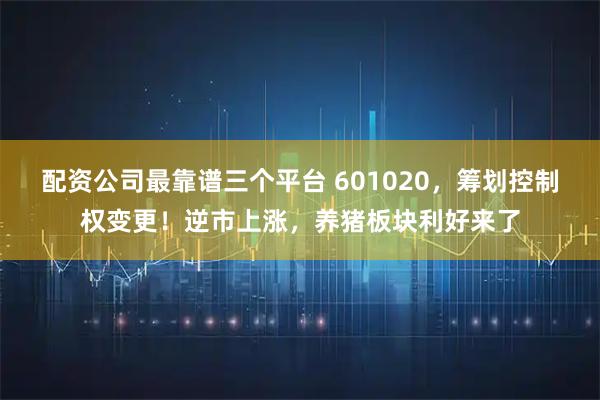 配资公司最靠谱三个平台 601020，筹划控制权变更！逆市上涨，养猪板块利好来了