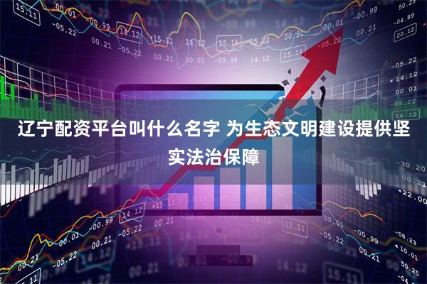 辽宁配资平台叫什么名字 为生态文明建设提供坚实法治保障